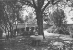 1950 : Le jardin des abbés