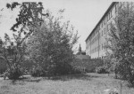 1950 : Le jardin près du bloc Lemineur