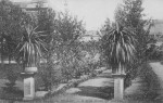 1908 : Une des allées du jardin